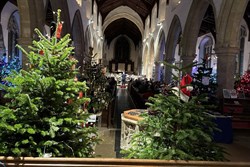 aylsham 24 tree fest750AT
