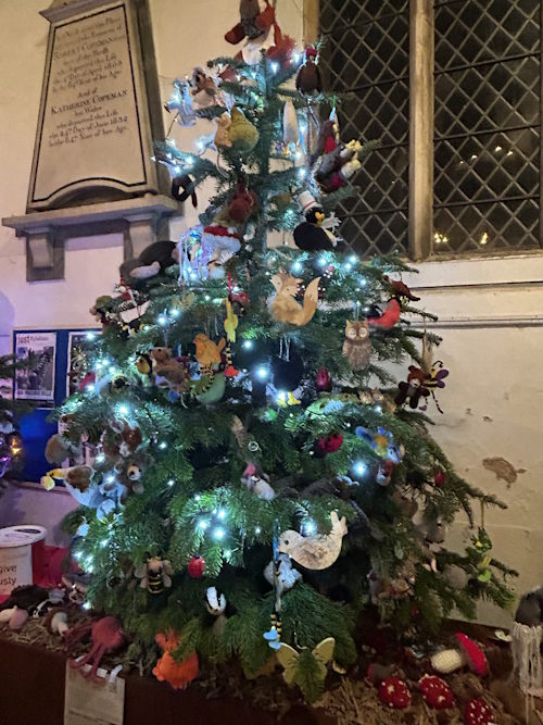 aylsham 24 tree fest500AT