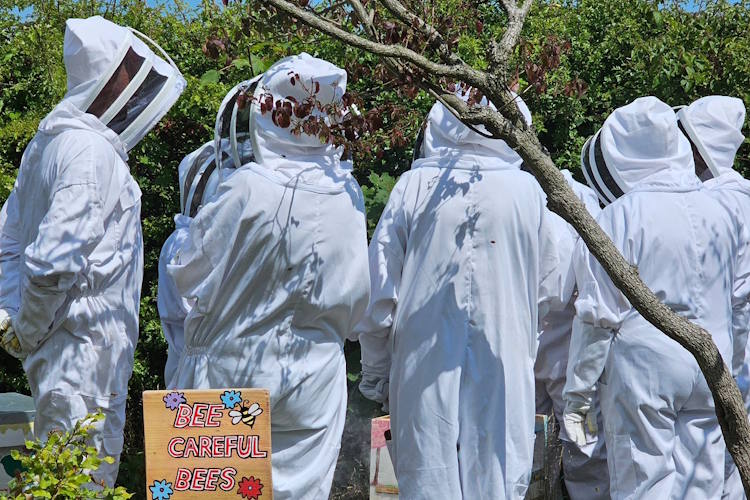 Bee-team-at-St-Mary-Magdalene in Gorleston