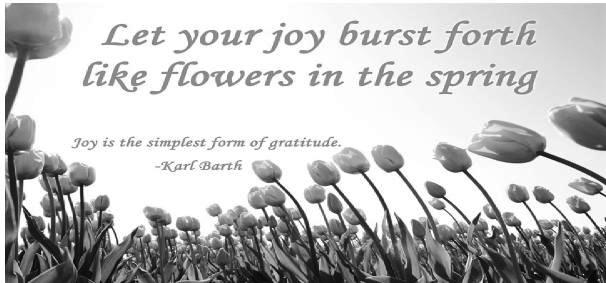 LET YOUR YOUR JOY BURST FORTH